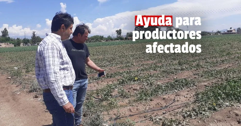 Granizo: inscriben a productores damnificados para que reciban asistencia económica