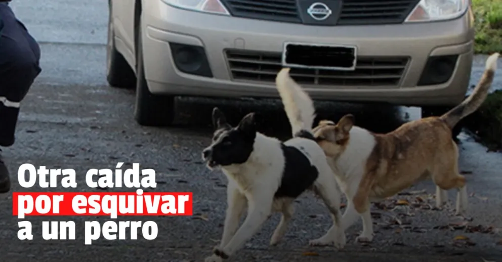 Una madre y su hijo se cayeron de una moto por esquivar un perro