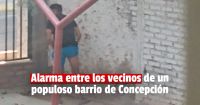 Fotografiaron a un hombre que se masturbaba a plena luz del día en los jardines del barrio San Martín