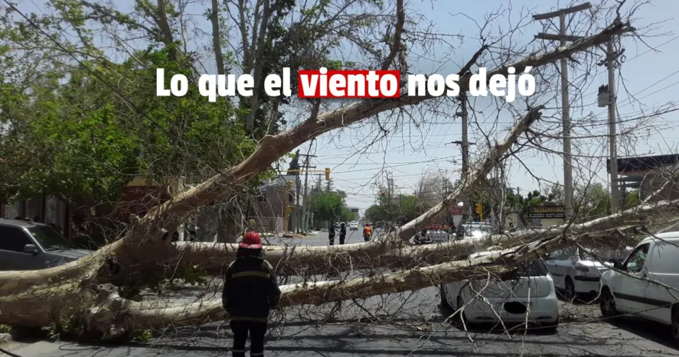El viento sur causó destrozos en algunas zonas de la provincia