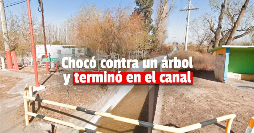 Chocó contra un árbol y cayó a un canal