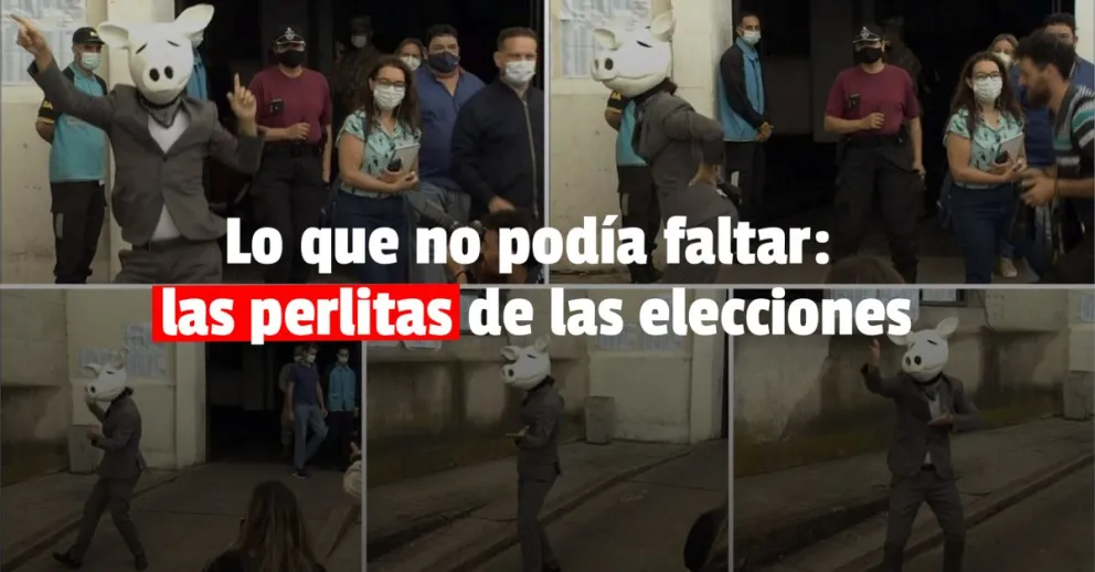 Estas son las perlitas de las Elecciones 2021