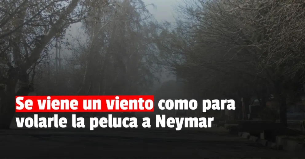 Emitieron un alerta por fuerte viento sur 