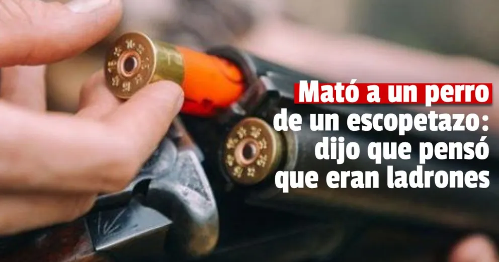 Habló la defensa del hombre que mató a un perro de un escopetazo: “Hay pruebas contundentes”
