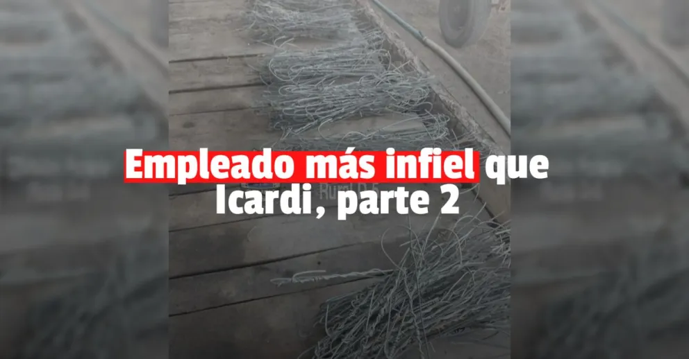 Empleado infiel se robó un dineral en material de bodega y lo detuvieron 