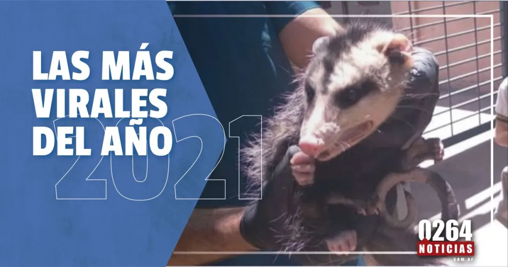 En San Juan pasaron cosas de lo más insólitas durante el 2021