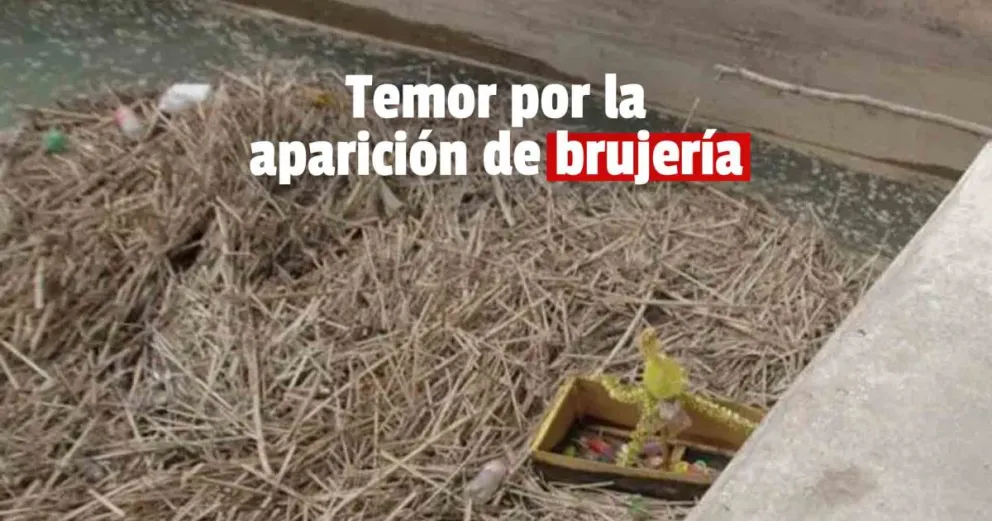 Gualichos en el dique San Emiliano, una constante que preocupa 