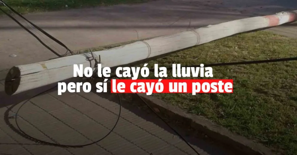 Se bajó de la camioneta y un poste le cayó encima 