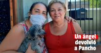 Apareció Pancho, el perrito que ayudó a una mujer a superar la muerte de sus hijas