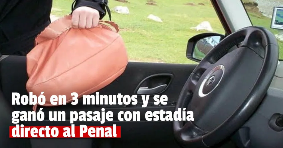 Condenaron al ladrón que robó una cartera con casi $60.000