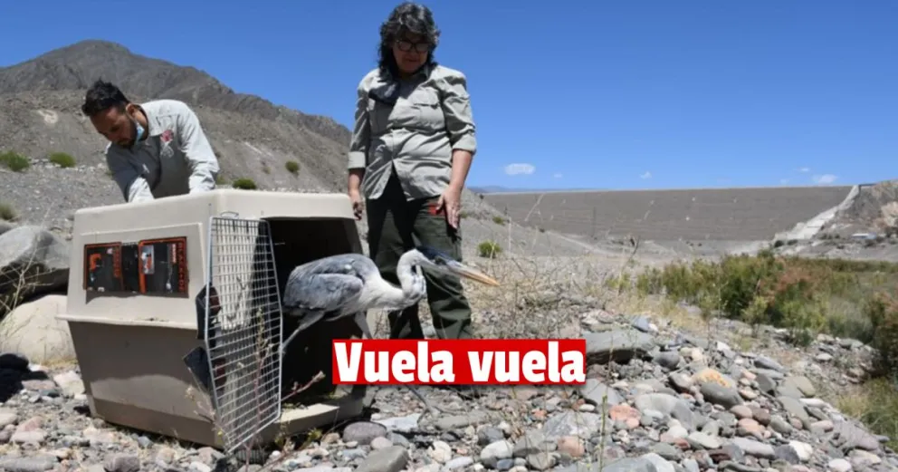  Liberaron a 12 aves que se encontraban en rehabilitación