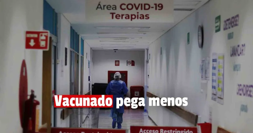 Ómicron: estudios revelan que el sistema inmune de vacunados y reinfectados es más fuerte 