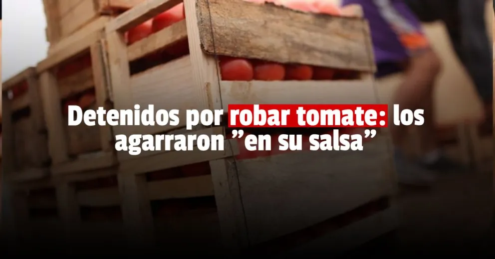 Se robaron una importante cantidad de tomates y terminaron detenidos 