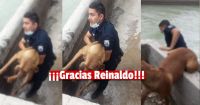 Rescate heroico: un policía se arrojó a un canal para salvar a un perro