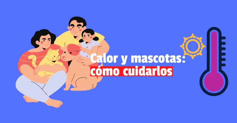 Cómo cuidar a nuestras mascotas del golpe de calor