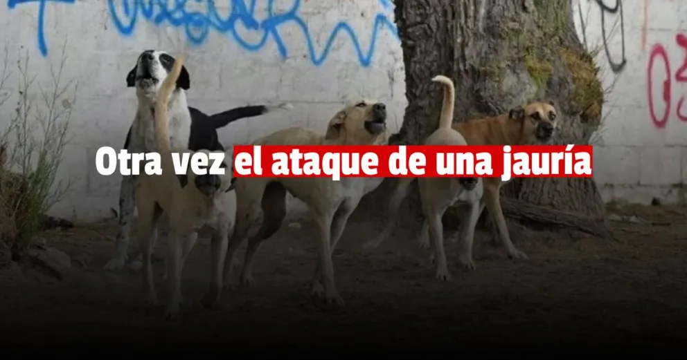 Una jauría atacó al sereno de la planta de tratamientos de residuos