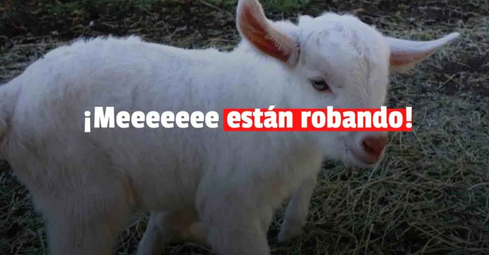 Se metieron a una finca y se robaron siete cabras 