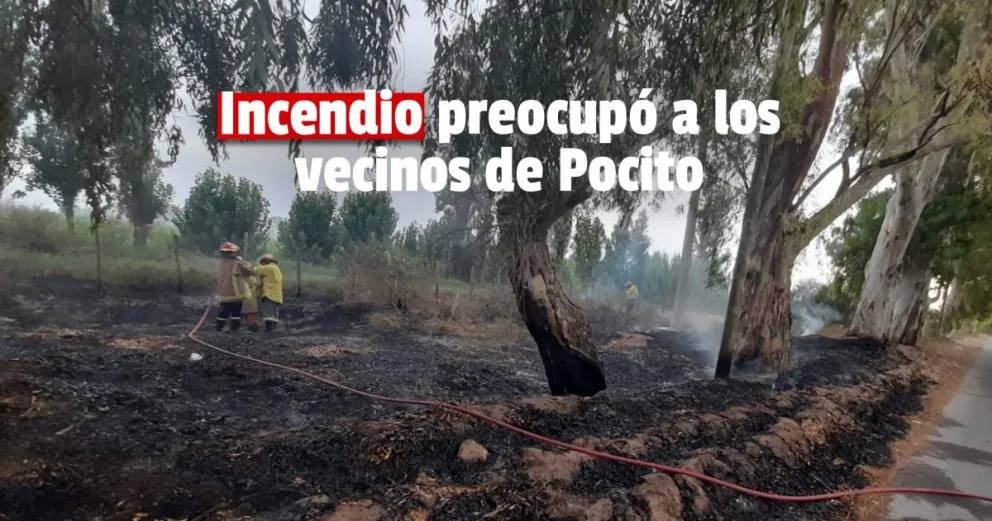 Bomberos trabajaron en un incendio forestal en Pocito