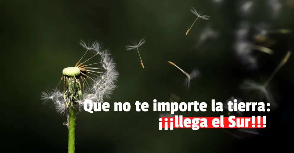 Anuncian un fuerte viento sur para este lunes