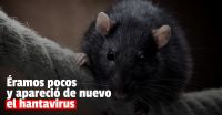 Confirmaron un caso de hantavirus en Chubut