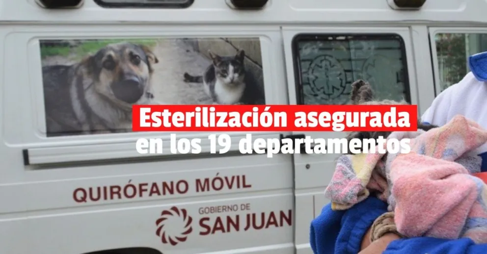 Ampliarán el Programa Acompañame: subirán el monto de las multas