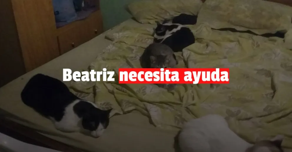 La lucha de una mujer para vivir en un lugar digno junto a sus mascotas