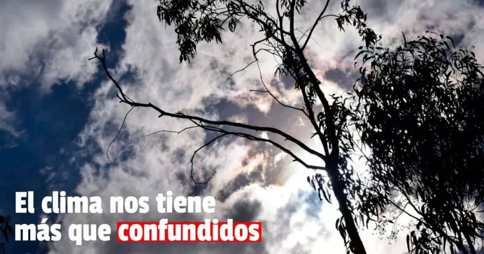 Alerta meteorológica: ¿se viene el sur acompañado de tormentas?
