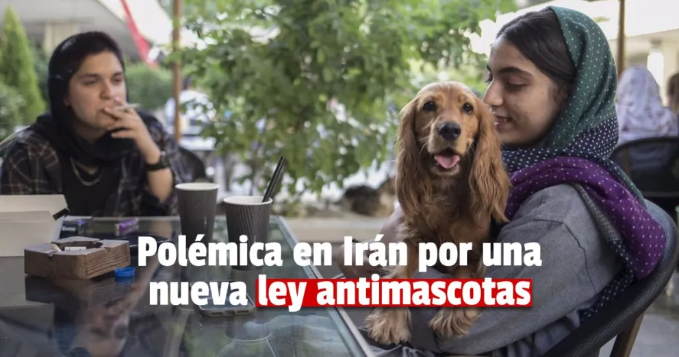 En Irán preparan una ley para limitar la cantidad de mascotas