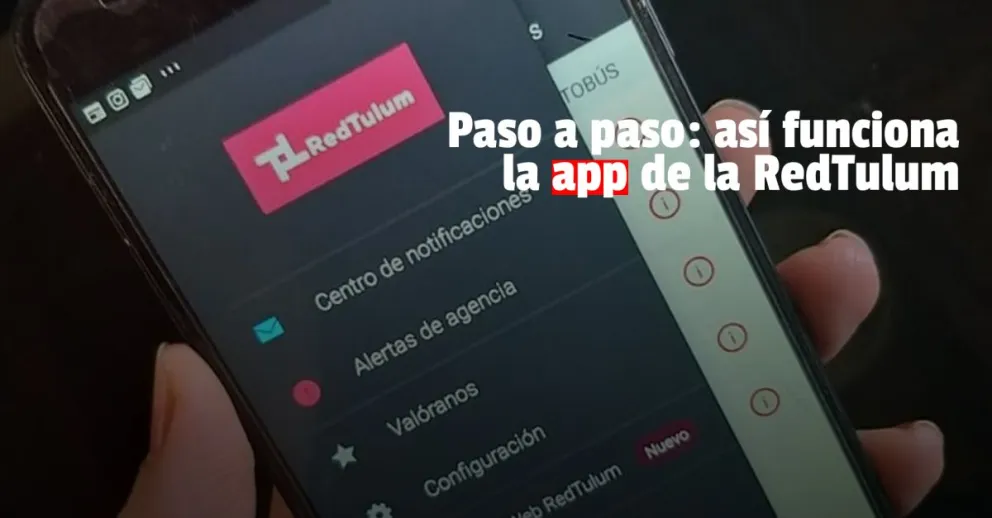 RedTulum: ¿todavía no sabés cómo usar la app? 