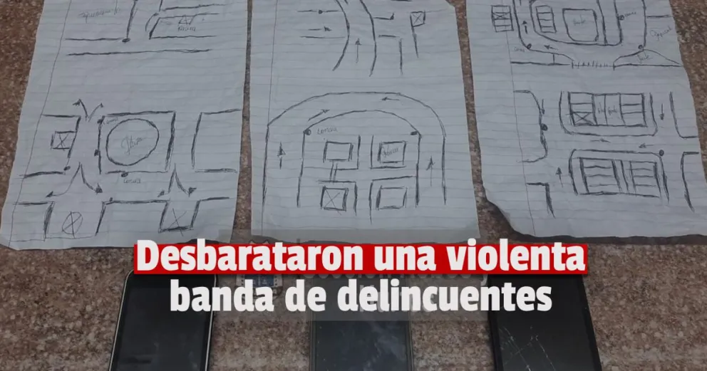Detuvieron a 10 delincuentes que protagonizaron violentos robos 