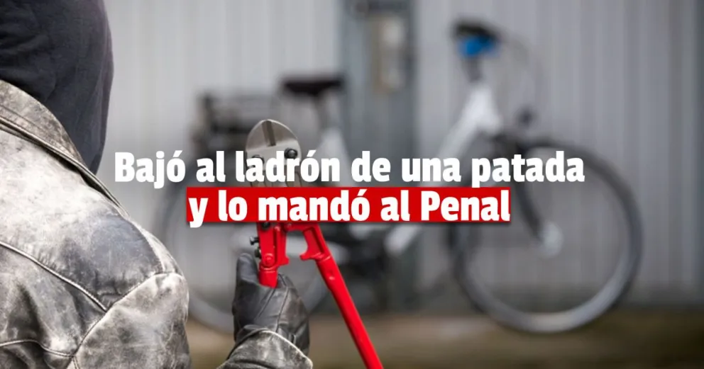 Cinco meses de prisión para un ladrón de bicicletas