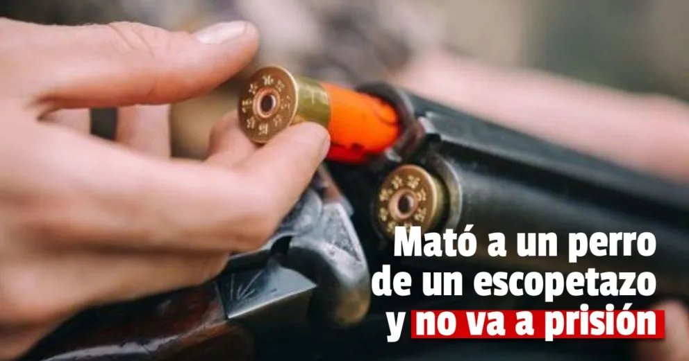 Condenaron al hombre que de un escopetazo mató a un perro en Chimbas