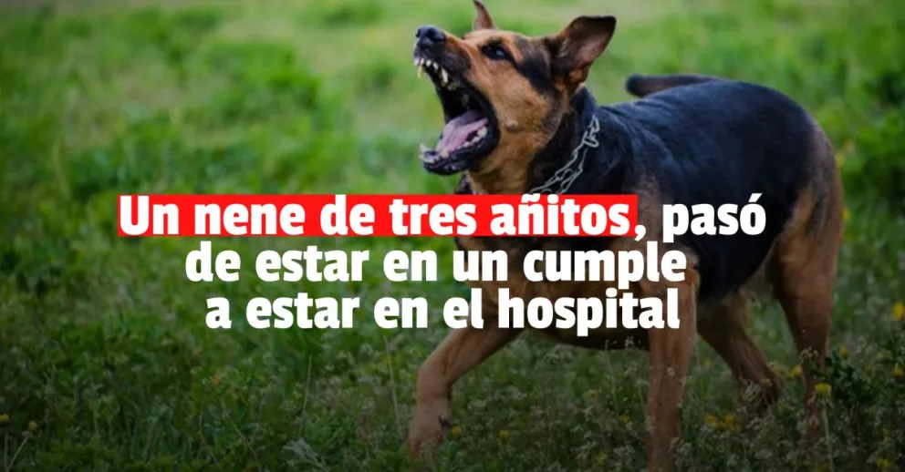 Un nene de 3 años hospitalizado tras ser atacado por un perro 