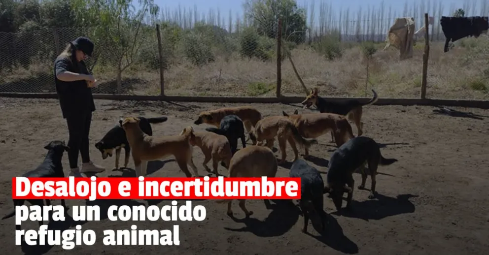 Un importante refugio animal de la provincia deberá dejar su lugar y necesita la ayuda de todos