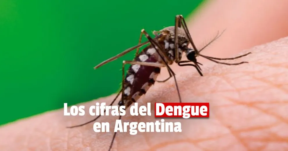En Argentina se registraron casi 4 mil casos de dengue en el 2021 y prevén un aumento para 2022