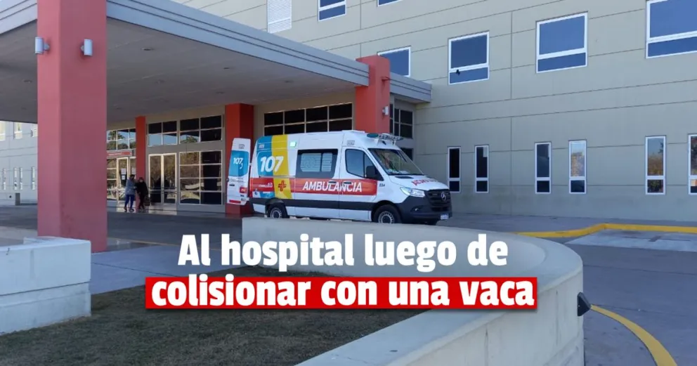 Una moto embistió a una vaca y una nena quedó hospitalizada
