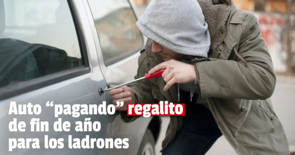 Siete meses de prisión para un ladrón que robó en pleno centro