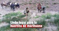 Marihuana en el medio de la cordillera: detuvieron a un chileno