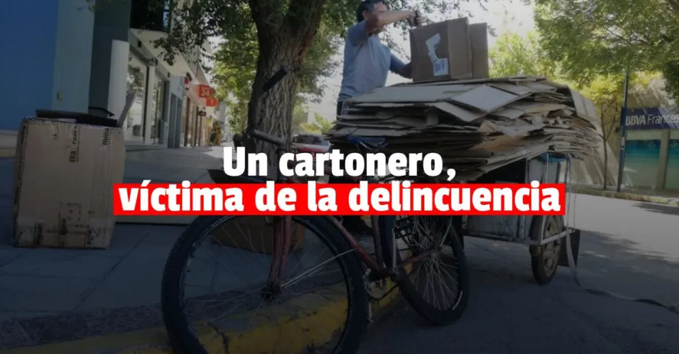 Un delincuente le robó la bicicleta y el carro a un cartonero