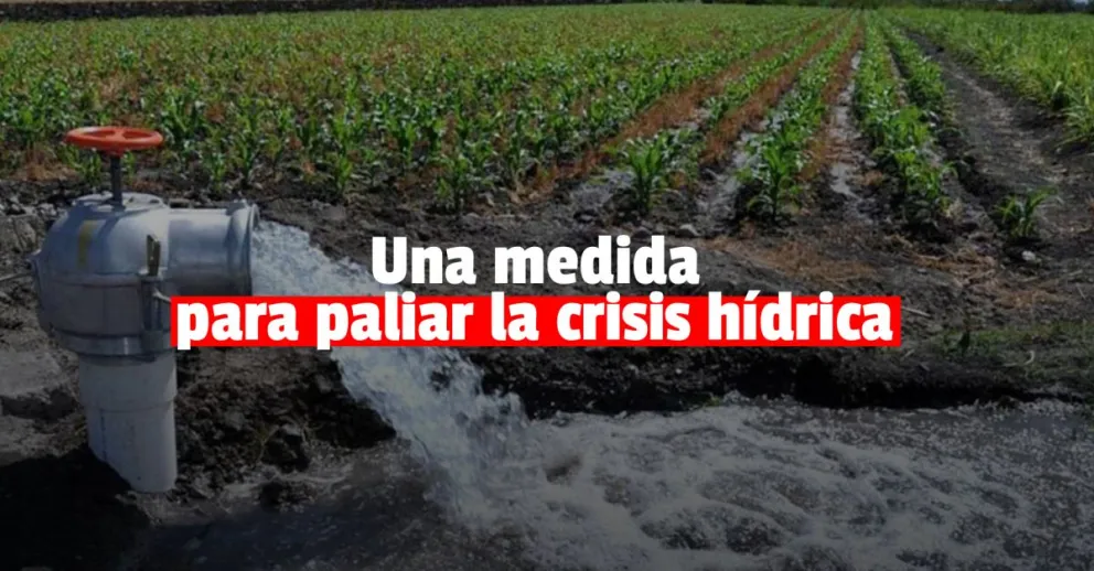 Otorgarán un subsidio en la tarifa eléctrica para riego agrícola