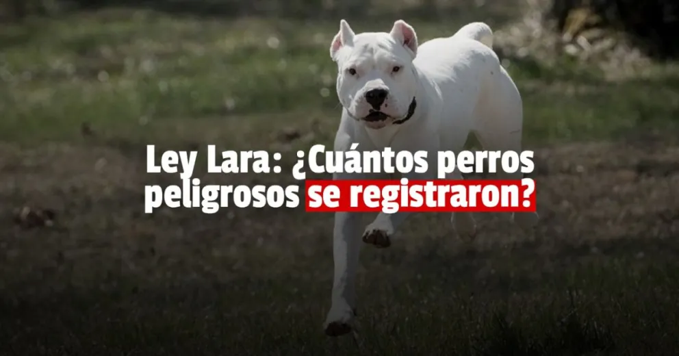 En casi un año de la Ley Lara, sólo registraron 600 perros en la provincia