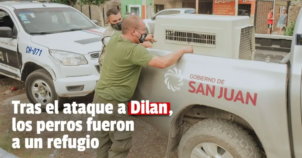 Ambiente trasladó a un refugio a los perros que atacaron a Dilan