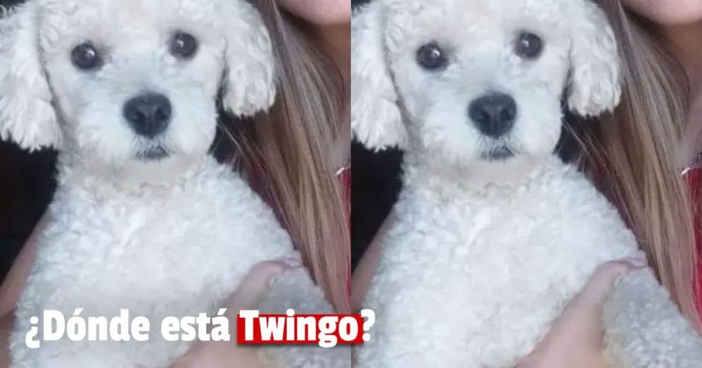 Buscan a Twingo 
