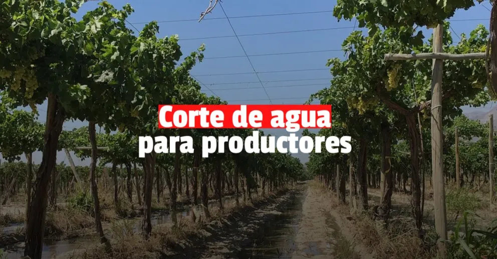 Acordaron  dos días de cortes con los productores