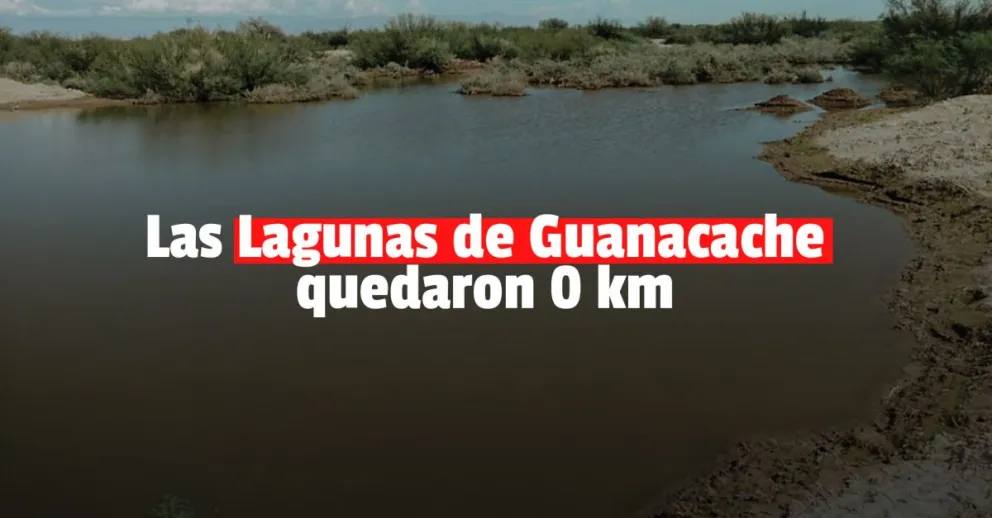 La obra de remediación en las Lagunas de Guanacache están terminadas 
