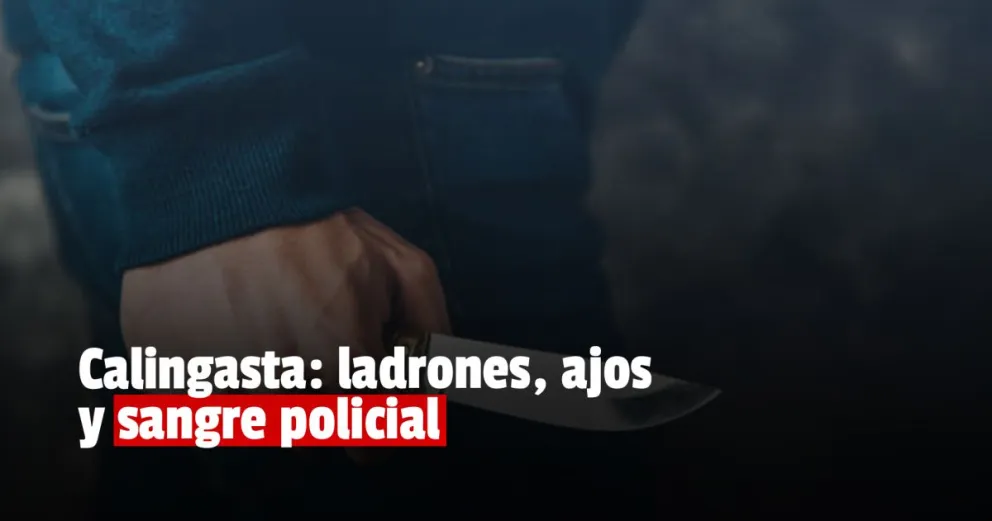 Calingasta: dos ladrones acuchillaron a un agente para escapar   	 