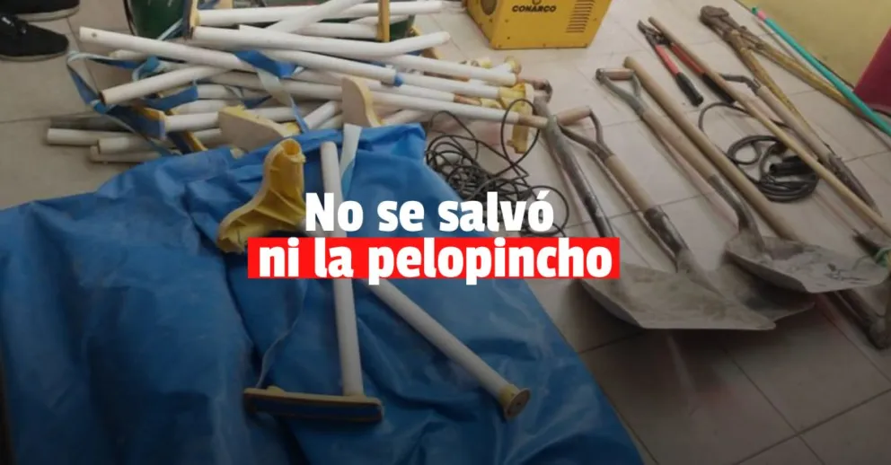 Entraron a robar y se llevaron hasta la pelopincho 