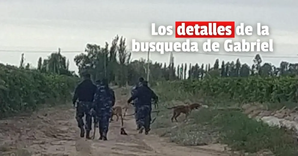 Los detalles del caso de Gabriel