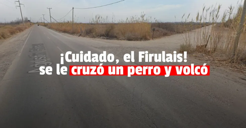Rawson: se le cruzó un perro y volcó