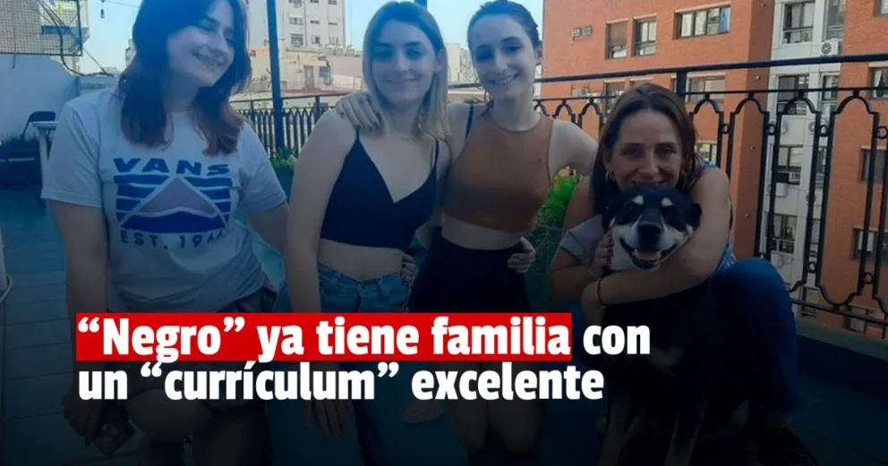El perro que buscaba adoptante con curriculum ya tiene familia